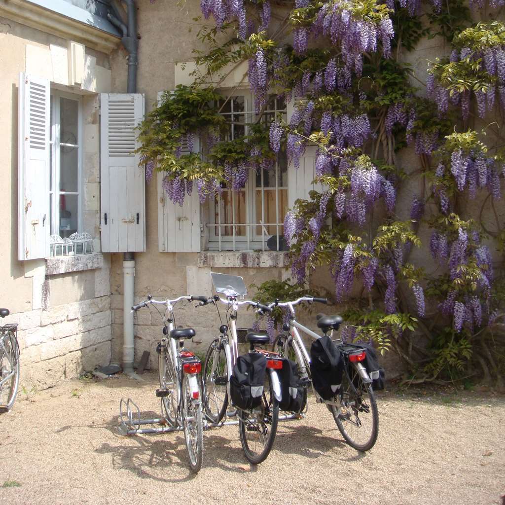 Chateau Du Breuil Cheverny Kültér fotó